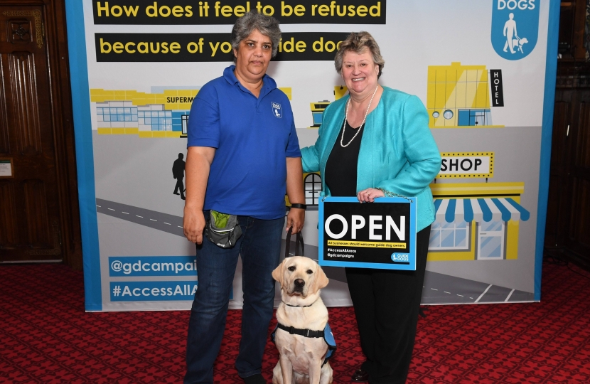 Guide Dogs Event